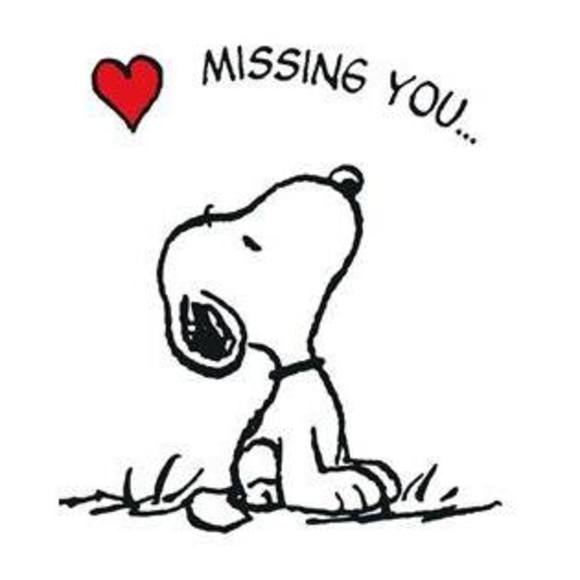 Meet your Posher, Kenneth - Picture 1 of 1